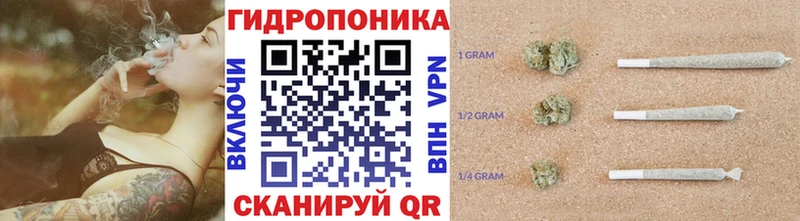 Конопля гибрид  Петровск-Забайкальский 